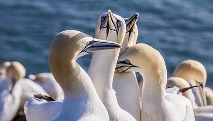 东阳高价上海医保提取2025的最新政策(2025年东阳上海医保怎么提取现金分享)