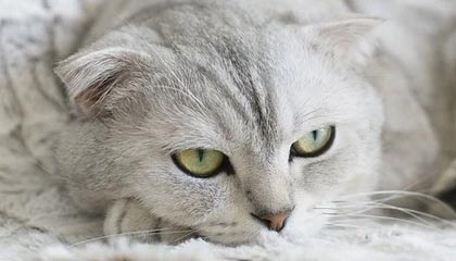 东阳高价上海医保提取2025的最新政策(2025年东阳上海医保怎么提取现金分享)