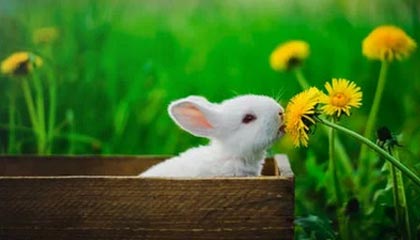 东阳高价上海医保提取2025的最新政策(2025年东阳上海医保怎么提取现金分享)